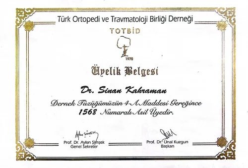 TOTBİD Asil Üyeliği